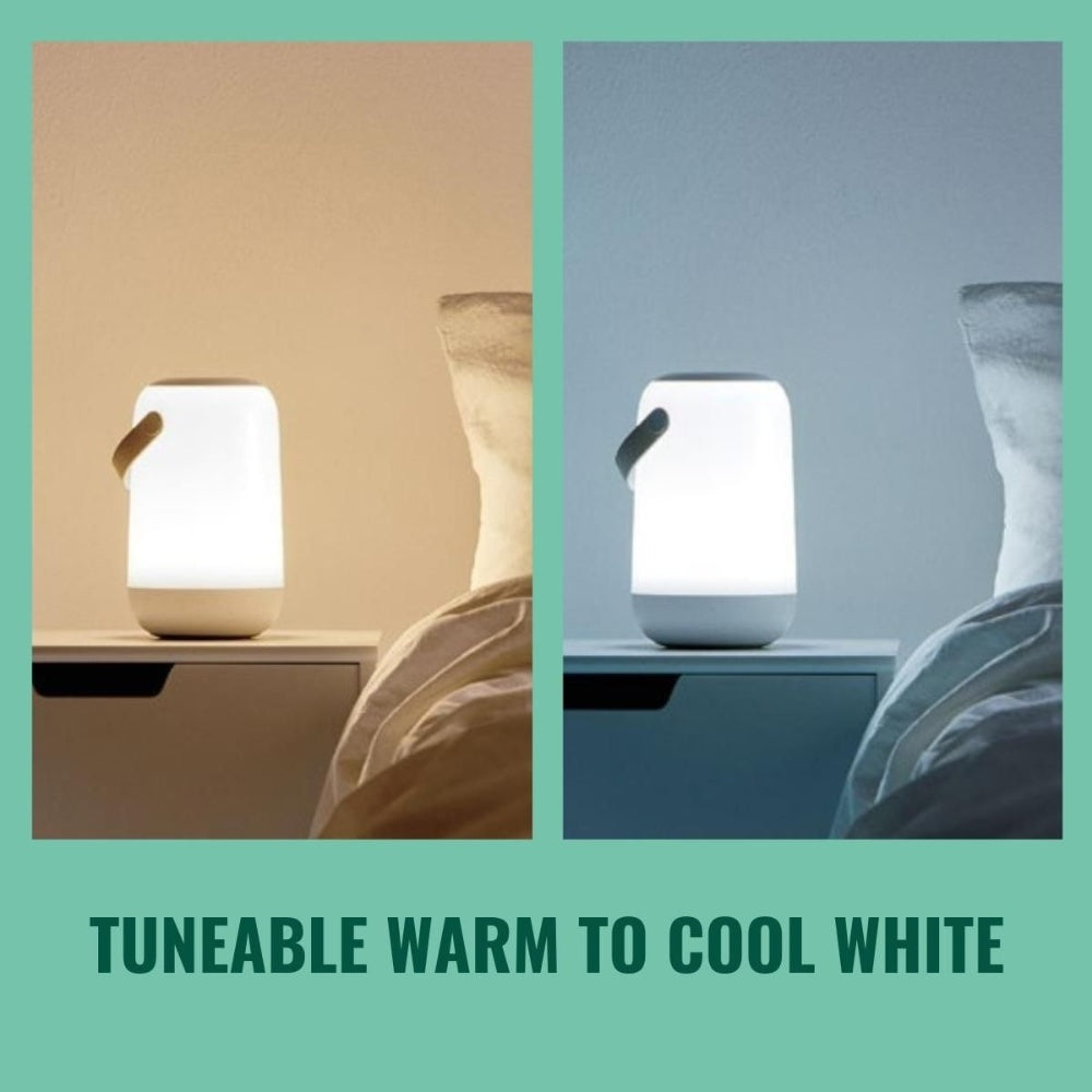 4Lite 4L1/8052 Lighting