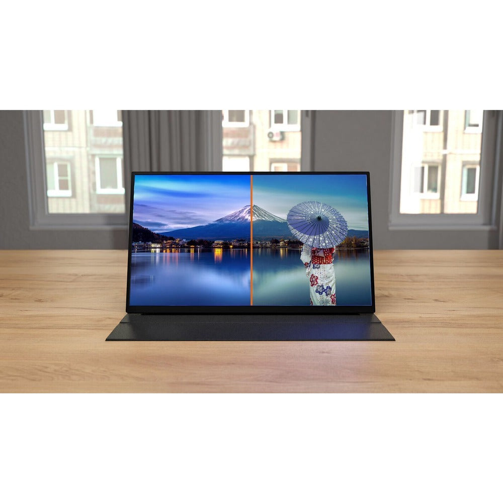 iiyama P1671HSC-B1 PC Monitors