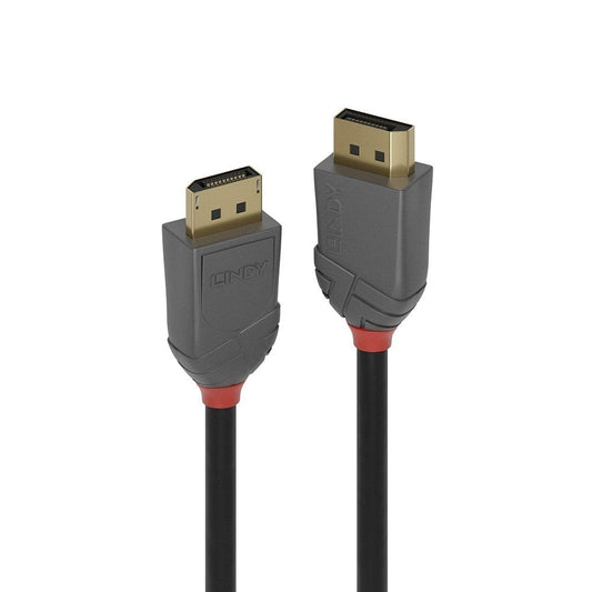 Lindy 36483 Computing Cables