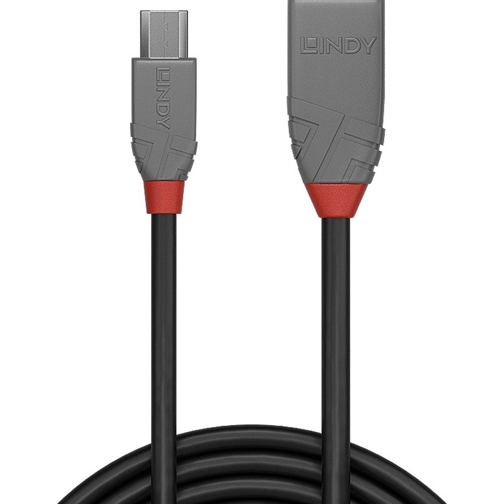 Lindy 36732 Computing Cables