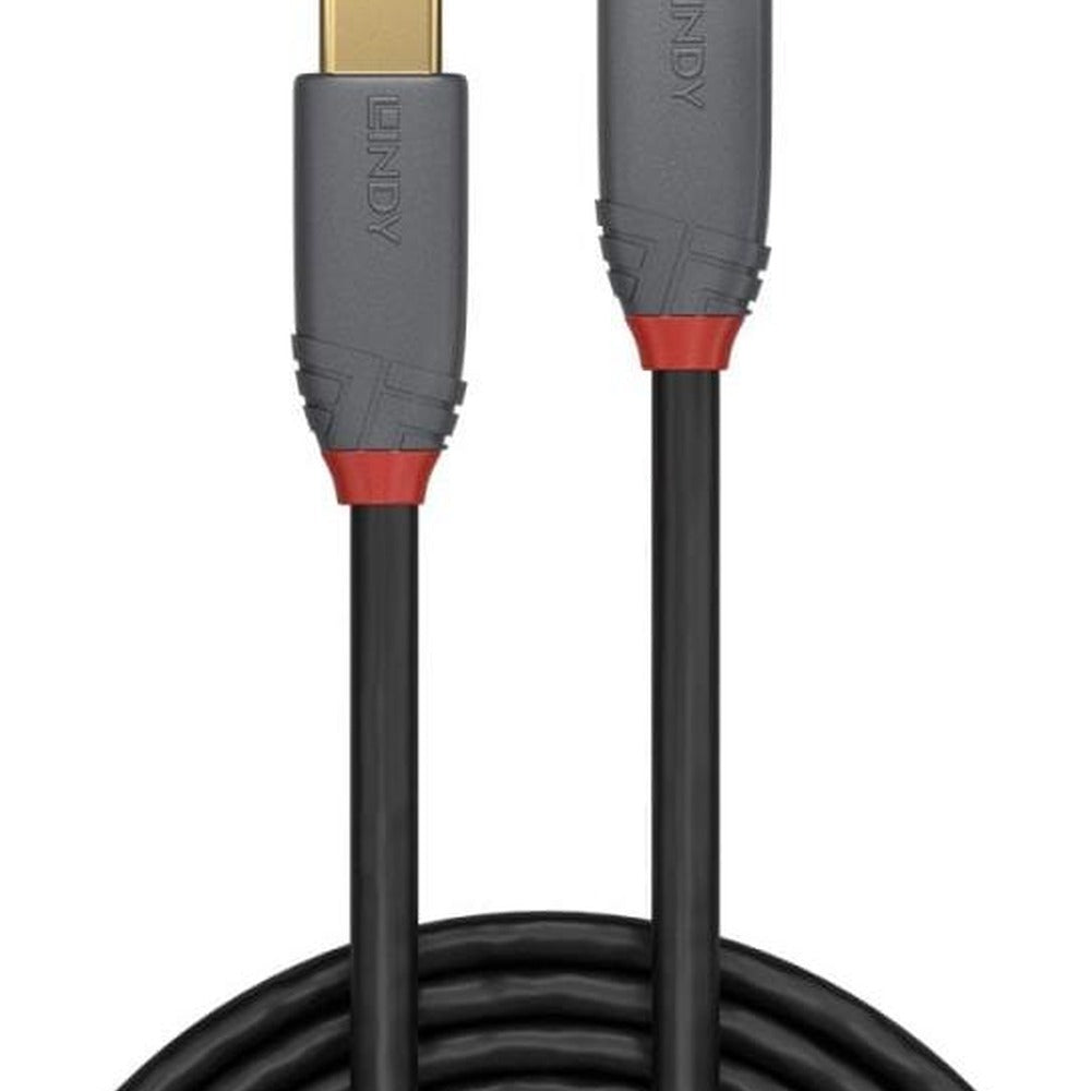 Lindy 36908 Computing Cables
