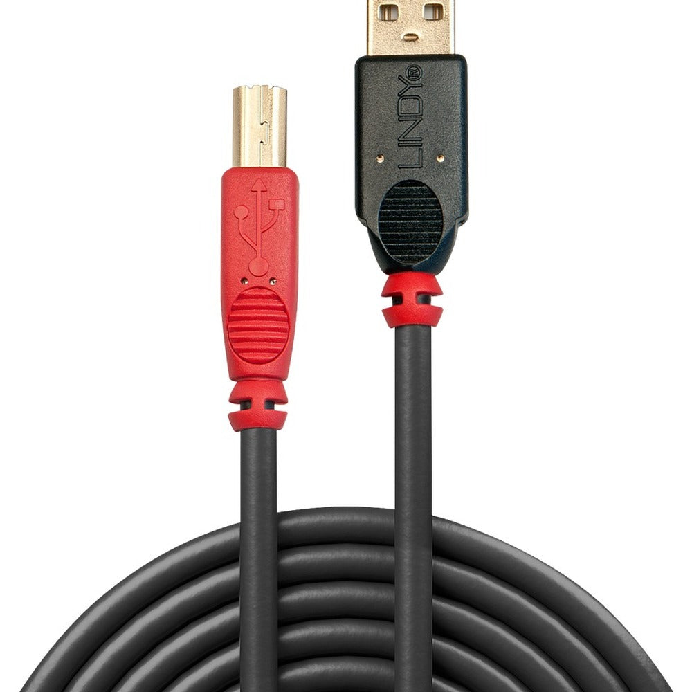 Lindy 42761 Computing Cables