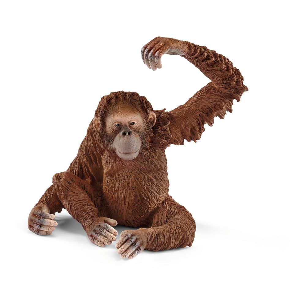Schleich 14775