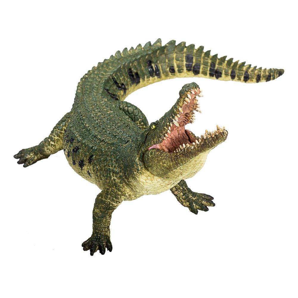 Animal Planet 387162