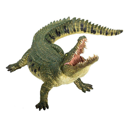Animal Planet 387162