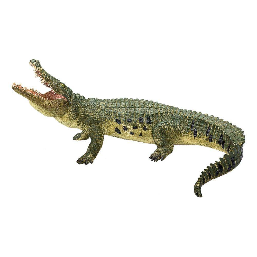 Animal Planet 387162