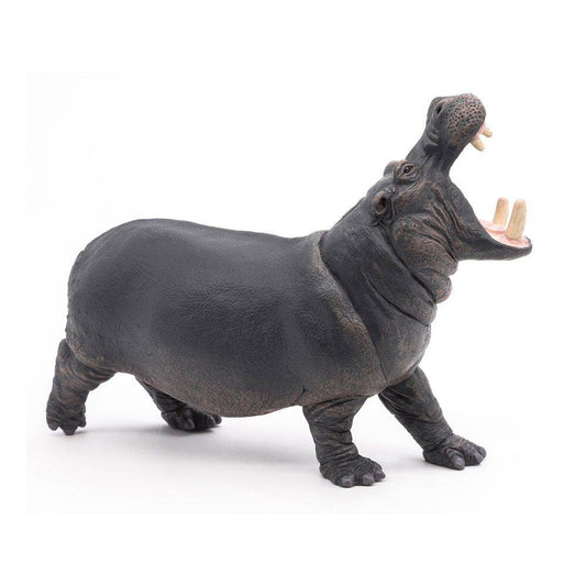 Papo 50051