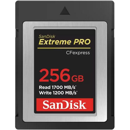 Sandisk SDCFE-256G-GN4NN