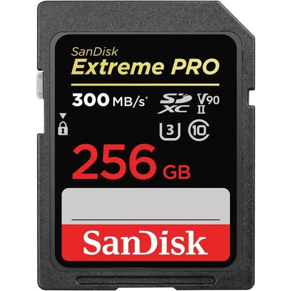 Sandisk SDSDXDK-256G-GN4IN Storage