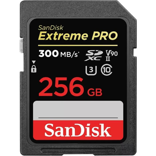 Sandisk SDSDXDK-256G-GN4IN Storage