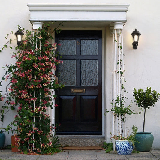 4Lite 4L2/3415 Lighting