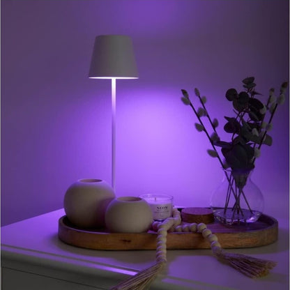 4Lite 4L1/9003 Lighting