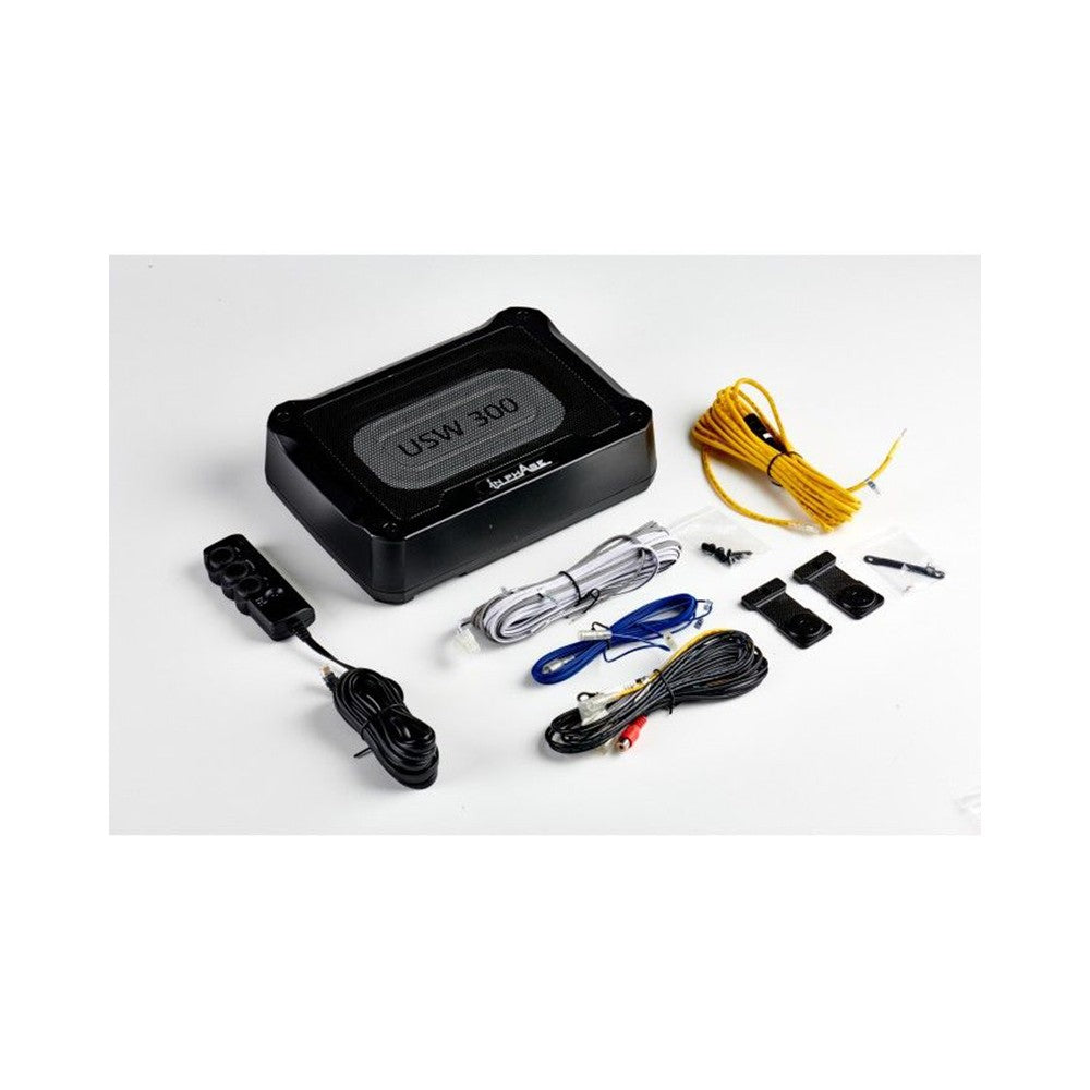 In Phase USW300 Car Audio