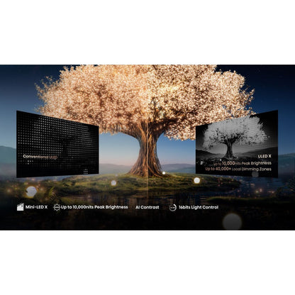 Hisense 110UXNQTUK Televisions