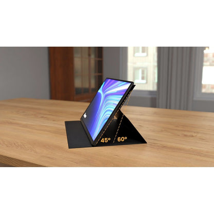 iiyama P1671HSC-B1 PC Monitors