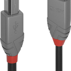 Lindy 36672 Computing Cables