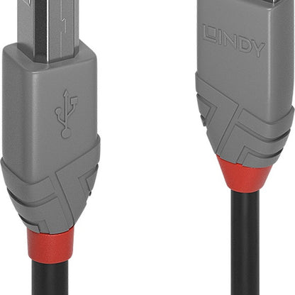 Lindy 36672 Computing Cables