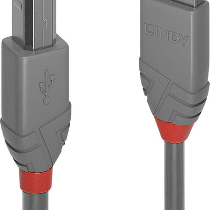 Lindy 36682 Computing Cables