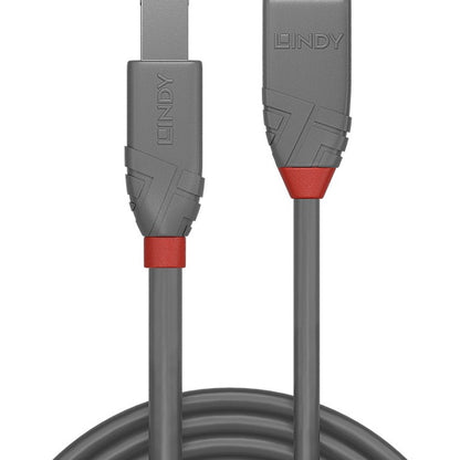 Lindy 36682 Computing Cables