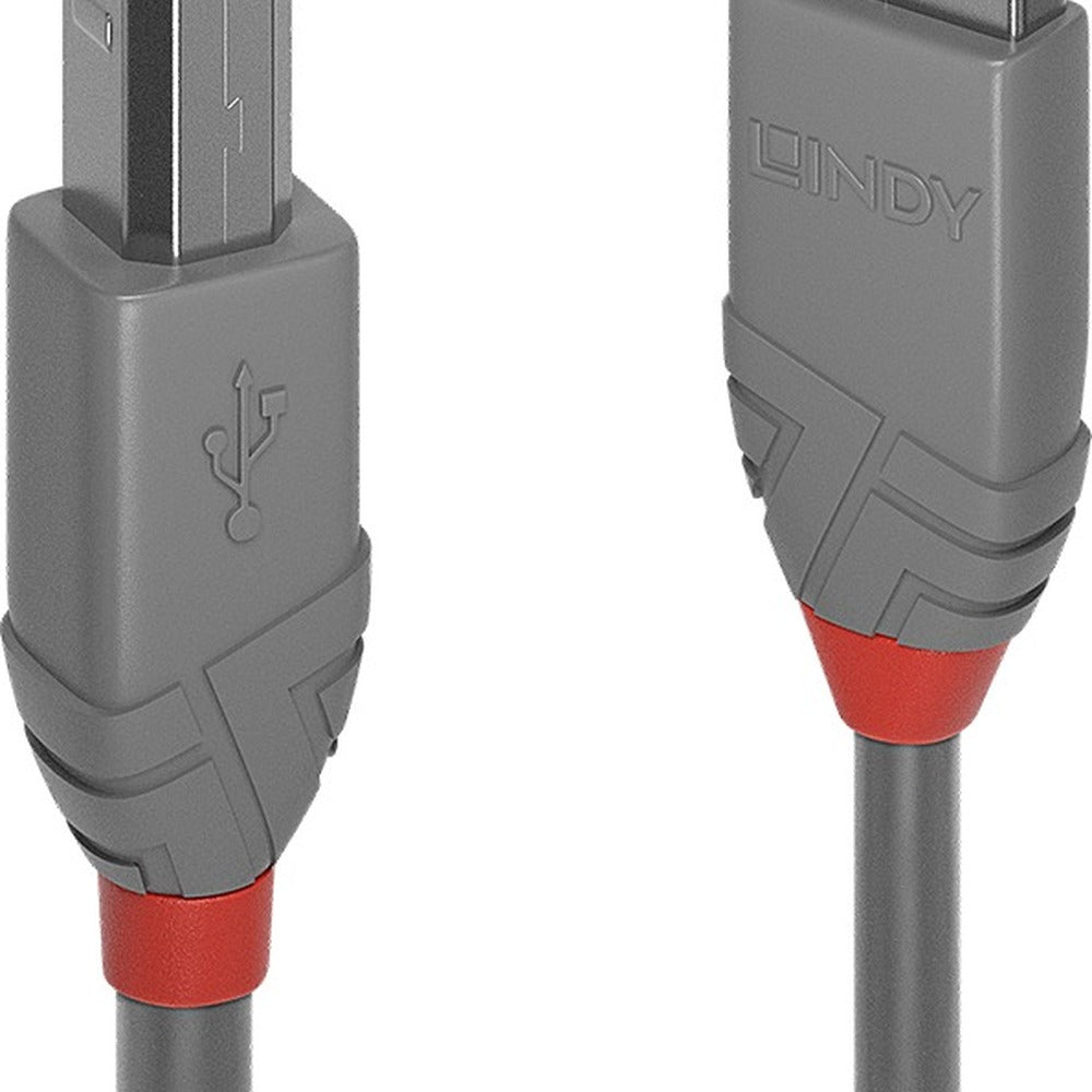 Lindy 36683 Computing Cables