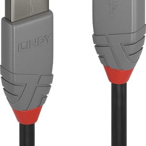 Lindy 36703 Computing Cables