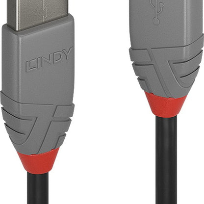 Lindy 36705 Computing Cables