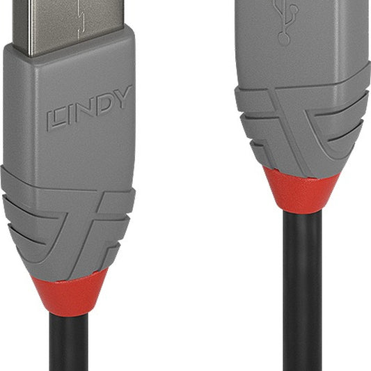 Lindy 36705 Computing Cables
