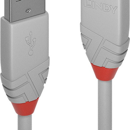 Lindy 36711 Computing Cables
