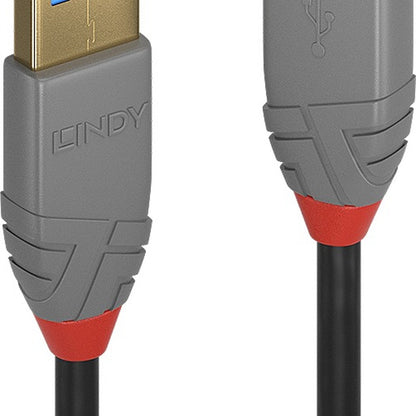 Lindy 36761 Computing Cables
