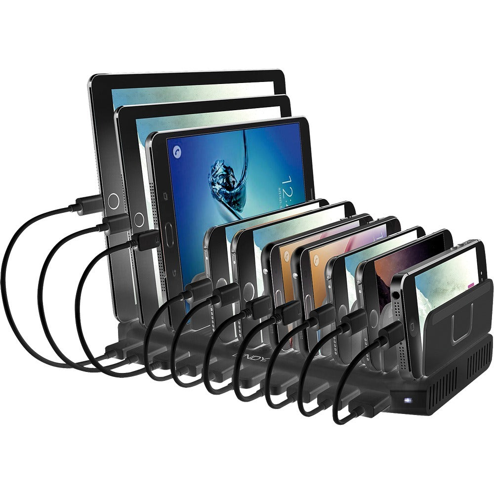 Lindy 73309 Computing Cables
