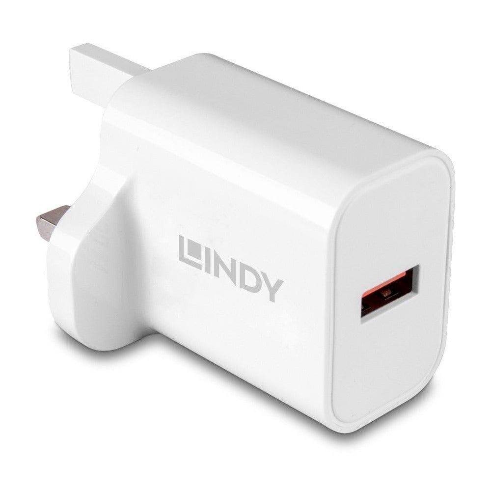 Lindy 73415 Computing Cables