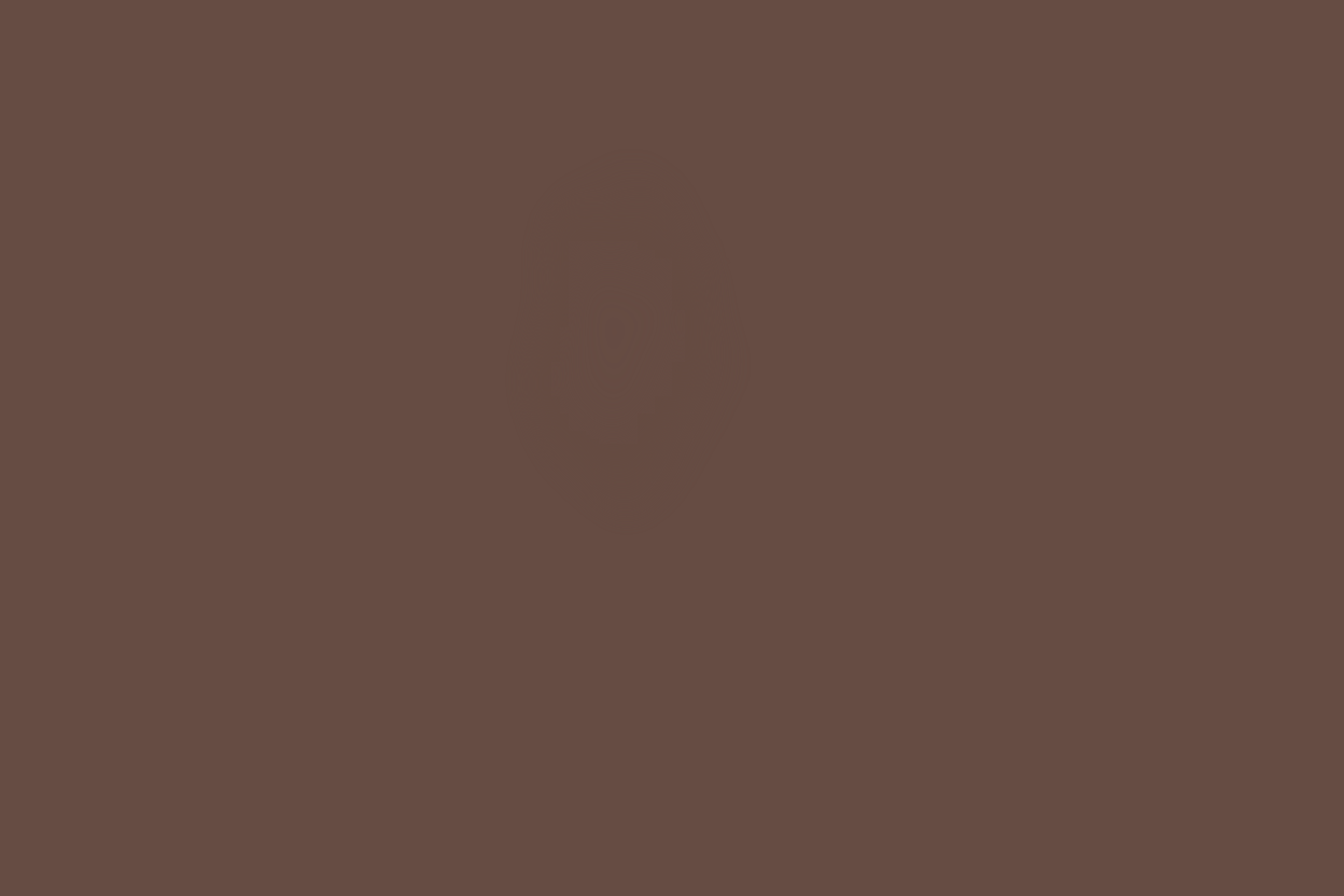 Solid brown color swatch