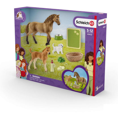 Schleich 42432