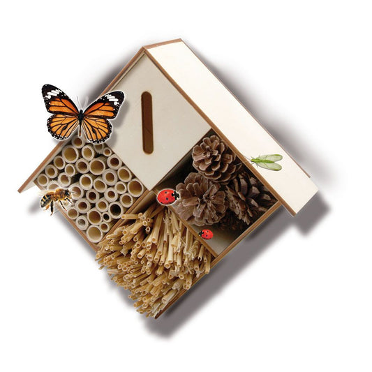 Ses Creative 25008 Educational