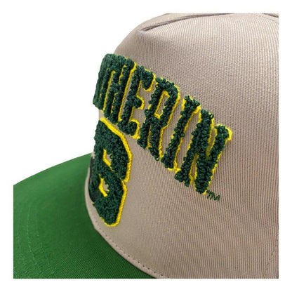 WIZARDING WORLD Harry Potter College Slytherin Snapback Baseball Cap Grey/Green